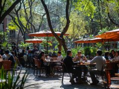 Último día “primaveral” y vuelve el frío: qué dice el pronóstico para el resto de la semana en el AMBA