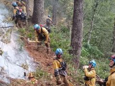 Crecen las alertas por los incendios forestales en el centro del país: en Córdoba controlaron ocho focos en un día