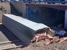 Un camión que transportaba carne desabarrancó en Mendoza: los vecinos quisieron llevarse la mercadería y hubo incidentes