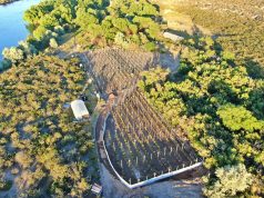 Cayó una banda narco de Río Negro que tenía vínculos en Rosario y estructura de clan familiar: hay 10 detenidos