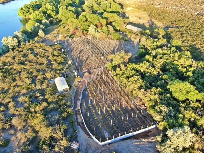 Cayó una banda narco de Río Negro que tenía vínculos en Rosario y estructura de clan familiar: hay 10 detenidos