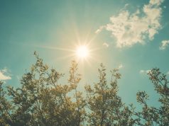 Cielo algo nublado y temperaturas agradables: cómo estará el tiempo durante las elecciones legislativas