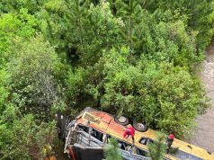 Tragedia en Misiones: un colectivo embistió a un auto, cayó a un arroyo y dejó al menos 2 muertos y 25 heridos