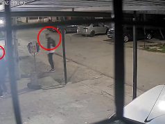 Cayeron dos integrantes de la banda que cometía entraderas en Esteban Echeverría: el video del robo a un vecino mientras dormía