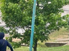 Delincuentes ingresaron a un barrio semicerrado en La Plata, robaron en dos casas y balearon a un vecino