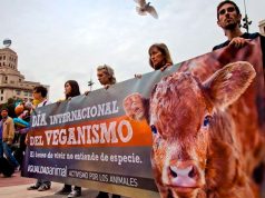 Día Mundial del Veganismo: orígenes y líderes de un movimiento que nació de un joven que solo quería evitar la explotación animal