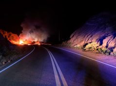 Dos muertos y 4 heridos tras el choque e incendio de dos camiones en Mendoza
