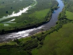 Evacuaron a varias familias de Corrientes, luego de que reportaran una crecida en el río Santa Lucía