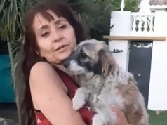 La ex fiscal procesada por beneficiar a un capo narco fue sobreseída de una causa por falso testimonio