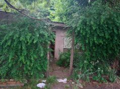 La Policía halló a un hombre muerto en una casa de La Plata tras un llamado por malos olores