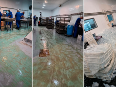 “Me hacían mentir, los controles de bacterias eran falsos”, las explosivas declaraciones de dos empleadas en la causa por el fentanilo mortal