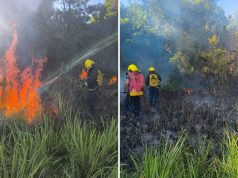Misiones emitió una alerta por el alto riesgo de incendios en la provincia y llamó a extremar los recaudos