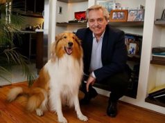 Murió Dylan, el perro de Alberto Fernández: la despedida en redes del ex Presidente