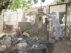 Neuquén: intervinieron la casa de una mujer de 80 años que era acumuladora