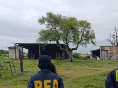 Pasó 10 años esclavizado en un campo: mataba animales para comer y tomaba agua de pozo