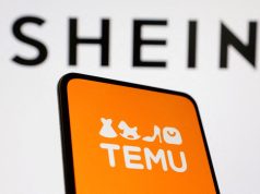 Proyecto anti Shein: Pichetto propuso aplicar un 30% de arancel a las compras en plataformas extranjeras