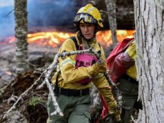 Se desataron tres incendios en el Parque Nacional Lanín por la fuerte actividad eléctrica durante una tormenta