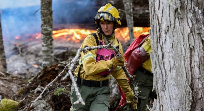 Se desataron tres incendios en el Parque Nacional Lanín por la fuerte actividad eléctrica durante una tormenta