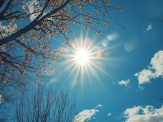 Se viene el día más caluroso de la semana en el AMBA con 32°C de máxima: cuándo vuelve el alivio