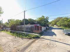 Una insólita discusión por el robo de una gallina en Entre Ríos terminó con dos mujeres apuñaladas