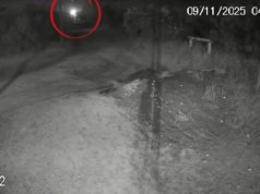 Video: así el femicida de Débora Bulacio arrastró el cuerpo de la víctima hasta el lugar donde la enterró